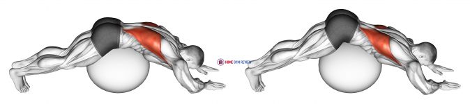 Exercise Ball Lower Back Stretch (Pyramid)
