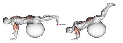 Exercise Ball Prone Leg Raise
