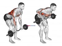 EZ Bar Reverse Grip Bent Over Row