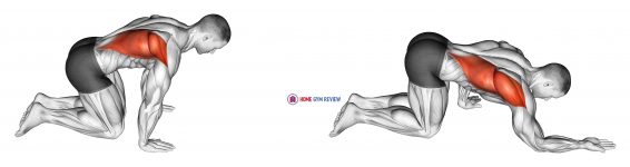 Kneeling Lat Stretch