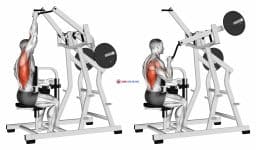 Lever One Arm Lateral Wide Pulldown (plate loaded)