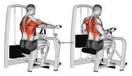 Lever Reverse Grip Vertical Row