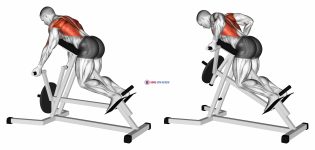 Lever Reverse T-Bar Row