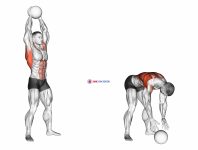Medicine Ball Overhead Slam