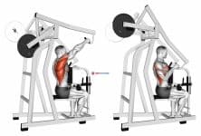 Lever One Arm Lateral High Row