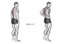 Standing Pelvic Tilt