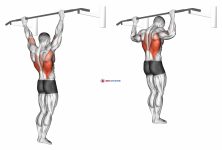 Wide Grip Rear Pull-Up
