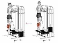 Cable Standing Calf Raise