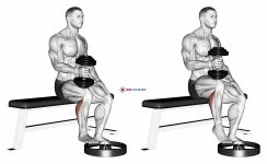 Dumbbell Seated One Leg Calf Raise - Hammer Grip