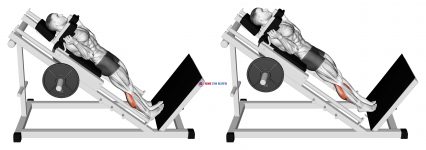 Hack Calf Raise