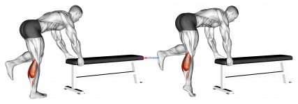 One Leg Donkey Calf Raise