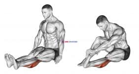 Seated Calf Stretch (male)