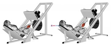 Sled One Leg Calf Press on Leg Press