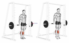 Smith Reverse Calf Raises