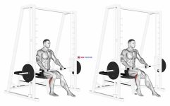 Smith Seated One Leg Calf Raise