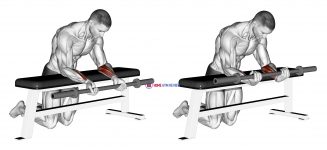 Barbell Palms Up Wrist Curl Over A Bench