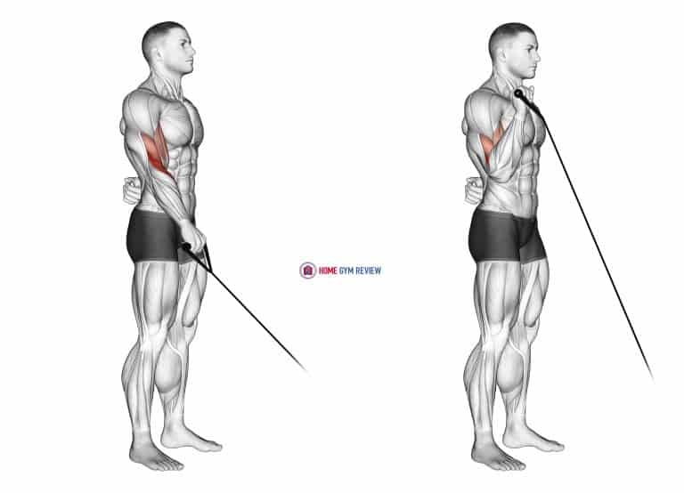 Cable Reverse One Arm Curl Home Gym Review