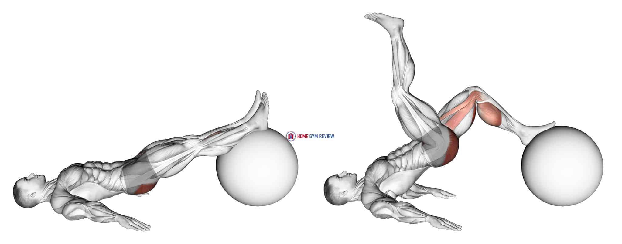 Exercise Ball One Legged Diagonal Kick Hamstring Curl - Home Gym Review