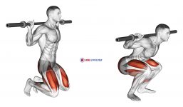 Kneeling Jump Squat