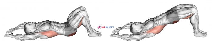 Pelvic Tilt Into Bridge