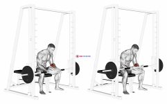 Smith Seated Wrist Curl