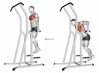 Chest Dip (on dip-pull-up cage)