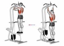 Lever Assisted Standing Chin Up