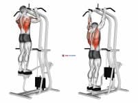 Assisted Standing Pull-up