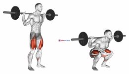 Barbell Low Bar Squat