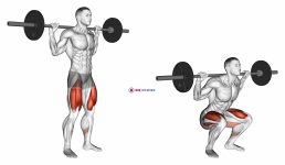 Barbell High Bar Squat