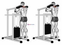 Lever Gripless Shrug (VERSION 2)