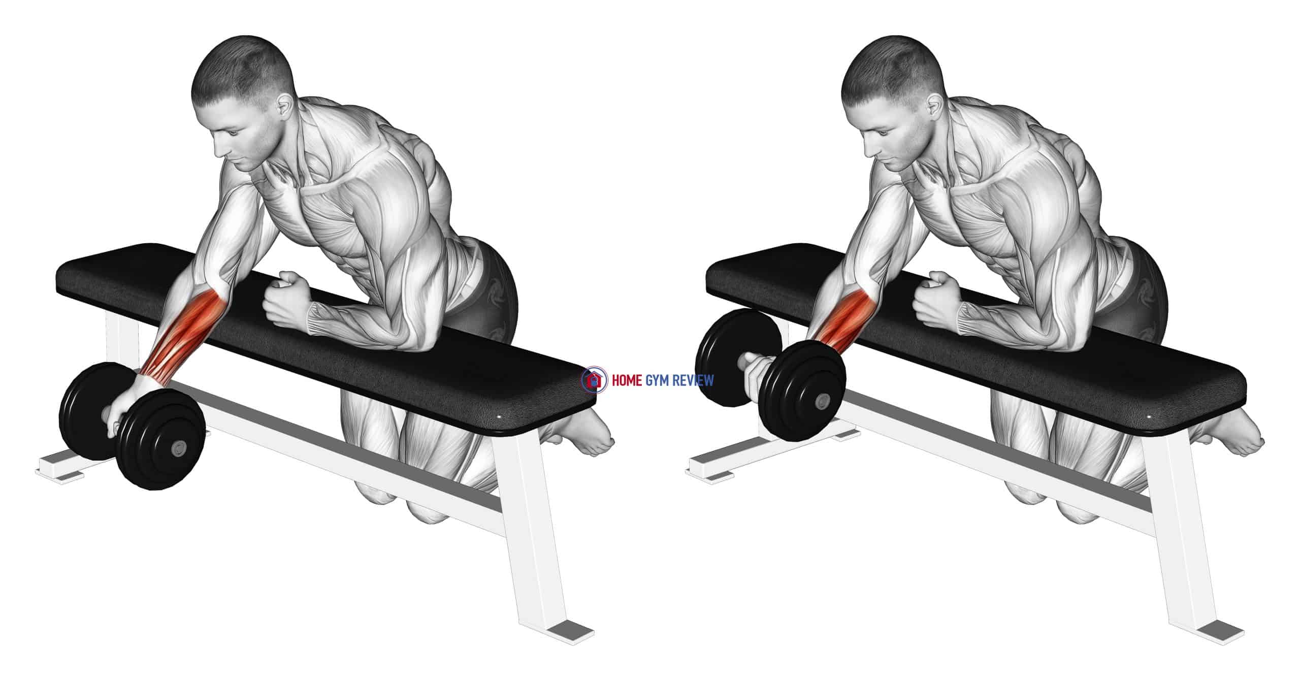 Dumbbell Over Bench One Arm Reverse Wrist Curl