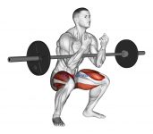 Barbell Zercher Squat Hold Isometric