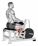 Lever Calf Stretch (plate loaded) Isometric