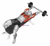 Barbell Pullover Hold Isometric