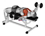 Dumbbell Flat Flye Hold Isometric