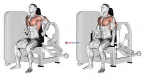 Lever Seated Dip