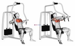 Lever Chest Press (VERSION 2)