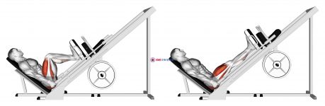 Sled 45° Leg Press (Side POV)