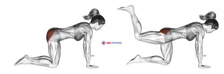 Bent Leg Kickback (kneeling)