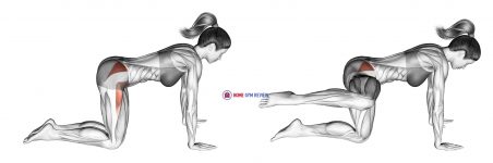 Bent Leg Side Kick (kneeling)