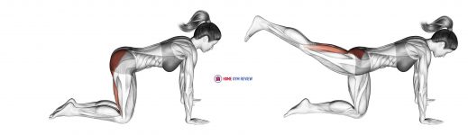 Straight Leg Kickback (kneeling)