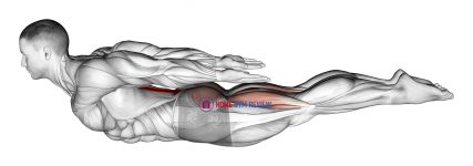 Locust Yoga Pose (Iron Man Pose)