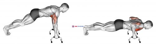 Push-up (With push-up handles)