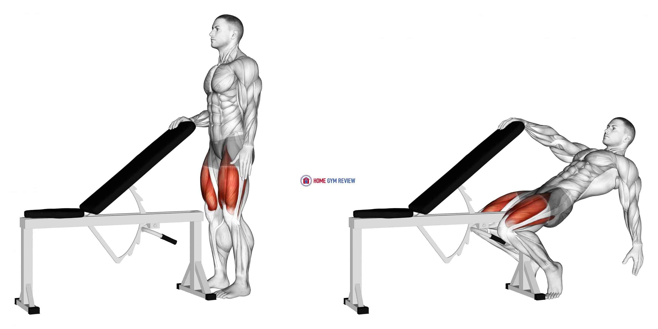 Sissy Squat Bodyweight