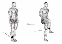 Band Hip Flexion