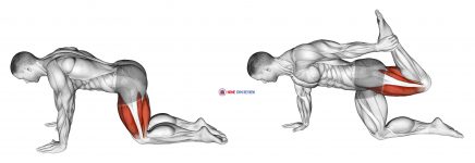 All Fours Squad Stretch