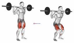 Barbell Quarter Squat