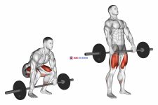Barbell Clean Deadlift