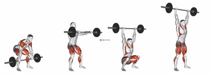 Barbell Hang Snatch Below the Knees